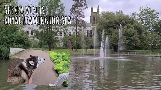 Sherpa takes a trip to Royal Leamington Spa [upl. by Anai]