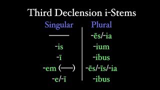 Third Declension iStems [upl. by Norrahs699]