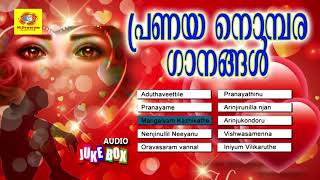 പ്രണയ നൊമ്പര ഗാനങ്ങൾ  Pranayanobara Ganangal  Malayalam Pranaya Ganangal [upl. by Hulton]