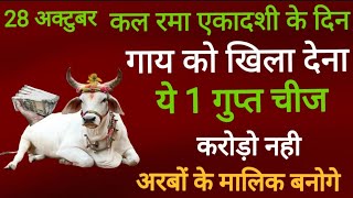 28 अक्टूबर रमा एकादशी गाय को चुपचाप खिला देना ये 1 छोटी सी 🤫 चीज 1 महीने में बनोगे करोड़पति [upl. by Gregorio692]