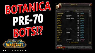 WoW Classic  Paladin Strat Ban and Botanica Bots Gone Wild [upl. by Darrej807]