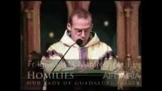 Oct 30  Homily How Many Will Go To Heaven [upl. by Dowzall]