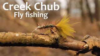 Creek Chub Fly Fishing [upl. by Julide]