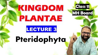 Pteridophyta Kingdom Plantae Lecture 3  Class 11 Biology  Maharashtra State Board [upl. by Trenton]