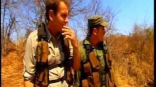 IAPF International AntiPoaching Foundation Damiens war 60 minutes episode [upl. by Amles573]