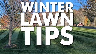 Winter Lawn Tips  Get your grass ready for winter dormancy [upl. by Rustie551]