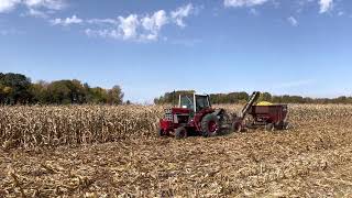 White County Antique Power Association corn picking day Oct 2022 part 11 [upl. by Denie]