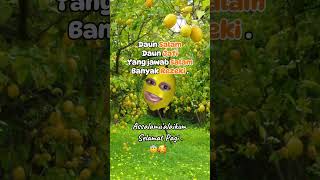 Haloo temen2 videoviral lucu lemon [upl. by Acinoed]