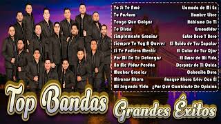 Banda MS de Sergio LizárragaCalibre 50La AdictivaLa Arrolladora Bandas MixVol15 [upl. by Ppik674]