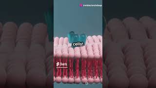 What is the Plasma Membrane biology facts cellbiology science quiz education genetics [upl. by Sabelle]