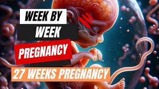 Week by Week Pregnancy  27 Weeks Pregnancy [upl. by Cath449]