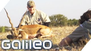 Safarijagd in Texas  Galileo  ProSieben [upl. by Hoashis]