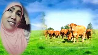 Faaxee Anniyyaa  Faaruu Looni  New Oromo Music 2017 [upl. by Nosyla417]