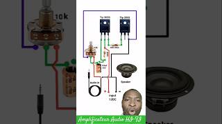 Amplificateur Audio HIFI à Transistor de Puissance TIP3055 amplifier electronic electrical diy [upl. by Jonathon]