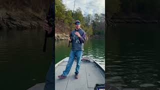 Alabama Rig Fishing Tip wMattBeckerFishing fishingtips bassfishingtips [upl. by Sherfield]