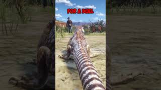 RDR2  5 Non Legendary Rare Animals in Red Dead Redemption 2 rdr2 gaming arthurmorgan rdo [upl. by Storfer188]