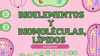 Bioelementos y Biomoléculas Descubre el Mundo de los Lípidos 🌱🔬 [upl. by Hagep451]