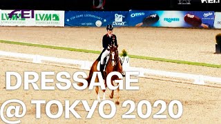 Dujardin Dufour Werth amp Co The Dressage teams at Tokyo 2020 [upl. by Abott]