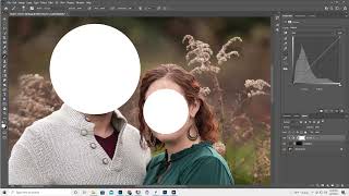 Dying gray hair or roots in Photoshop with the color blend mode adjustments masks blend paint [upl. by Bouton]