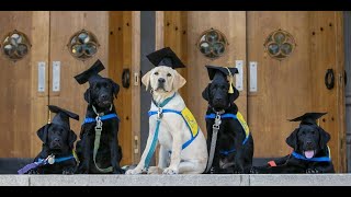 Graduation Ceremony  North Central Region  August 9 2024  Canine Companions [upl. by Artenehs]