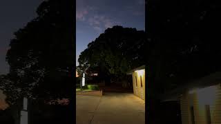 Toowoomba Australia visitaustralia youtubeshorts ytshort youtube trending viralvideo shorts [upl. by Ivetts982]