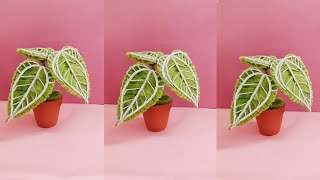 Diy flower  how to make a mini anthurium crystallinum pot  KESA DIY [upl. by Notsrik]