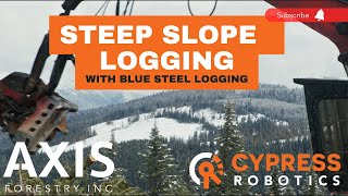 STEEP SLOPE Logging  Blue Steel Logging  Meet the LOGGERS [upl. by Hazelton371]