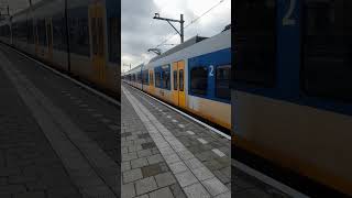 Sprinter  Einfahrt in Zandvoort aan zee mehrbahn mehrbahn2021 [upl. by Zennie]