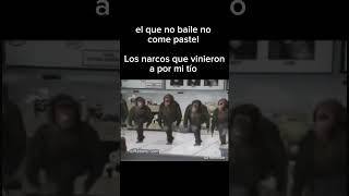 monos bailando edit meme humor [upl. by Flora]