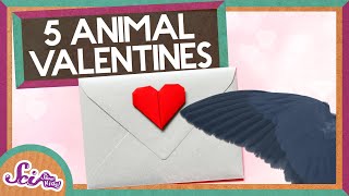 5 Animal Valentines  Valentines Day  A SciShow Kids Compilation [upl. by Audie140]