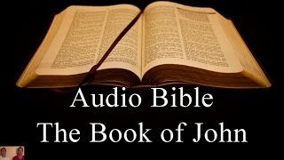 The Book of John  NIV Audio Holy Bible  High Quality and Best Speed  Book 43 [upl. by Eniortna]