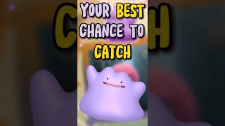 Your BEST Chance To Catch Ditto in Pokémon Go [upl. by Devehcoy]