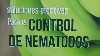 Aplicación para el control efectivo de nematodos en plátano [upl. by Sewellyn]