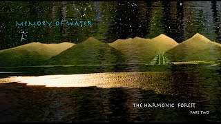 The Harmonic Forest Part 2 Memory of Water The Harmonic Harmonic Forest Part 2 Memory of Water [upl. by Cressi542]