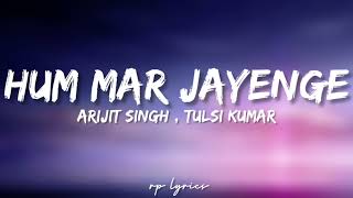 🎤Arijit Singh  Tulsi Kumar  Hum Mar Jayenge Full Lyrics Song  Aashiqui 2 [upl. by Polard795]