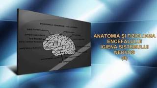 ANATOMIA ȘI FIZIOLOGIA ENCEFALULUI IGIENA SISTEMULUI NERVOS II [upl. by Nirad]