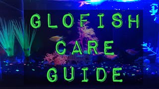 My GloFish Aquarium  Glofish Care Guide [upl. by Ditmore229]