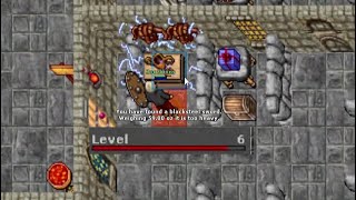 6 Level vs Greenhorn Arena Tibia [upl. by Aztilem]