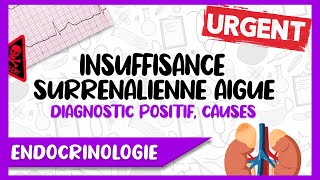 L’Insuffisance Surrénalienne Aigue Signes Cliniques et Paracliniques Causes Facteurs Déclenchant [upl. by Edyak6]