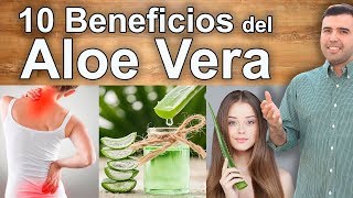 Para Qué Sirve El Aloe Vera  10 Benefícios De La Sábila [upl. by Eulalee]