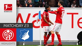 1 FSV Mainz 05  TSG Hoffenheim 10  Highlights  Matchday 23 – Bundesliga 202223 [upl. by Ellednahs]