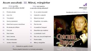 Stefan Hrusca  Marut margaritar 2223 Craciunul cu Hrusca [upl. by Eahsan941]