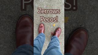 Zerrows Pecos  Dagres Brown [upl. by Marline592]