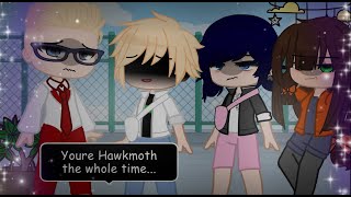 Hawkmoth Saves Marinette PART 2 Meme MLB [upl. by Elene599]