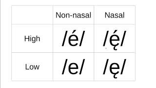 Tone nasalization and length on vowels [upl. by Aipmylo]