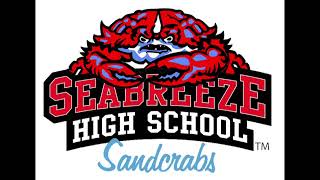 Volusia County Schools Seabreeze High School Graduation 2019 [upl. by Eresed]