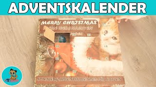 Spielzeug Adventskalender für KATZEN im Test ✅ [upl. by Rigdon794]