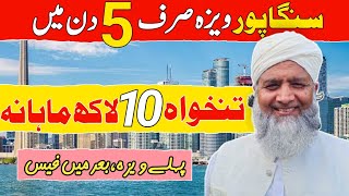 Singapore Work Visa For pakistani  High Salary Country  How To Apply Singapore Work Visa [upl. by Haddad593]