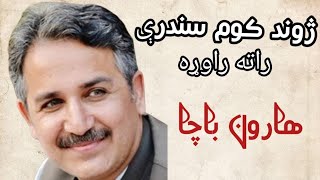 Haroon Bacha New Song  Zhwnd kawm sandry rata  هارون باچا نوې سندره  ژوند کوم سندرې راته راوړه [upl. by Celinda]