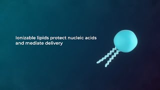 Ionizable lipids to optimize RNALNP delivery  Cytiva [upl. by Boni243]